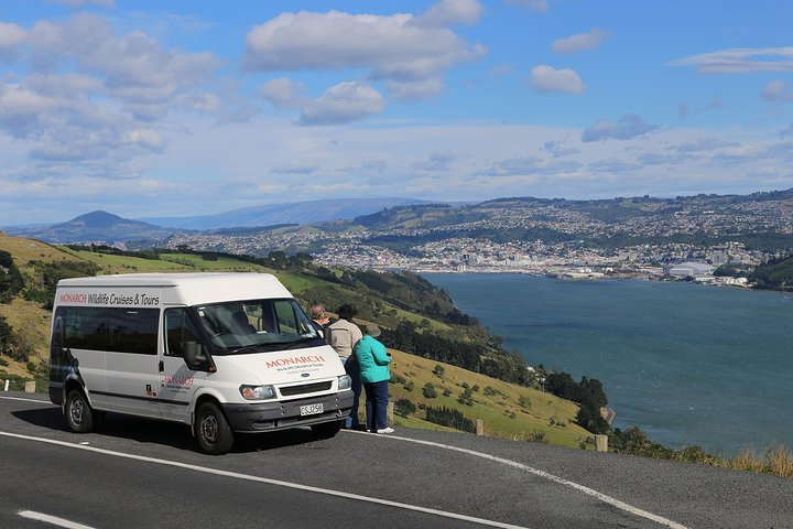 Dunedin City to Sea Wildlife Cruise + Peninsula Bus Tour - Photo 1 of 12